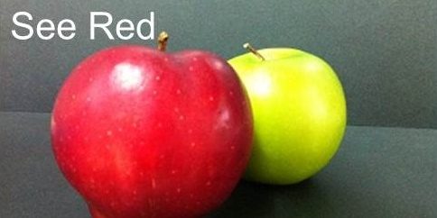 apple red and green