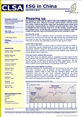 CLSA Report -Mopping up