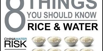 8 Things You Should Know About Rice & Water