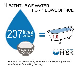 CWR Virtual Water Content For 1 Bowl of Rice
