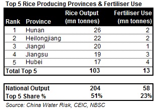 Top 5 Rice Producing Provinces Table