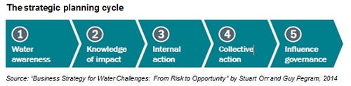 The Strategic Planning Cycle Flow Diagram - Orr & Pegram Report
