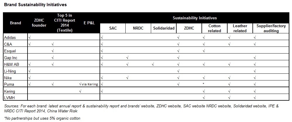 Brand Sustainability Initiatives Table