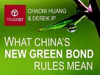 What Chinas New Green Bond Rules Mean