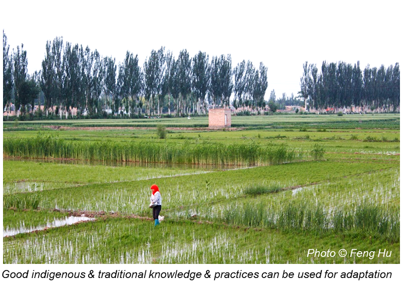 Good indigenous & traditional knowledge and practices can be used for adaptation