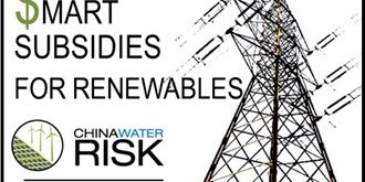 Smart Subsidies for Renewables