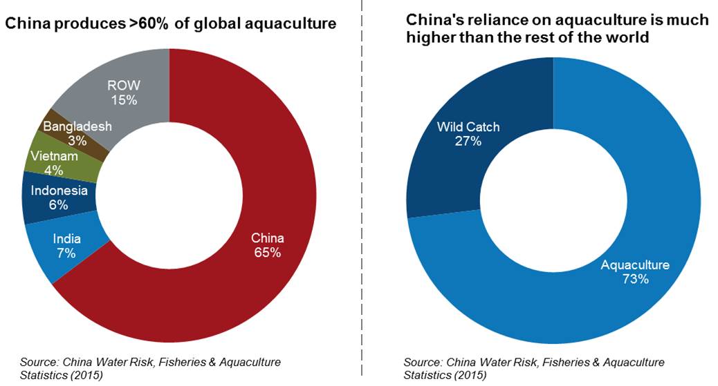 china prodn share and reliance2
