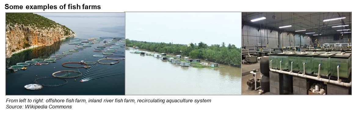 fish farm photos