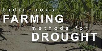Drought and farming indigenous methods